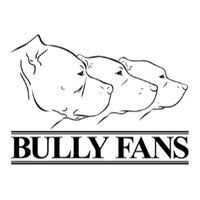 Bully Fans coupons